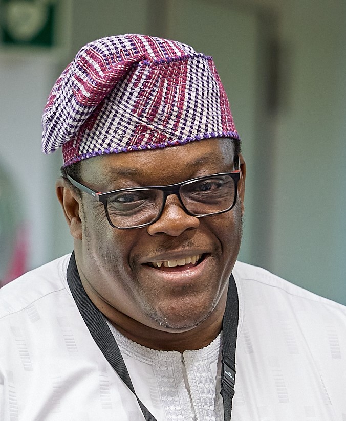 Dr. Dayo Adetifa (Chief Transformation Officer/ CEO FIND)