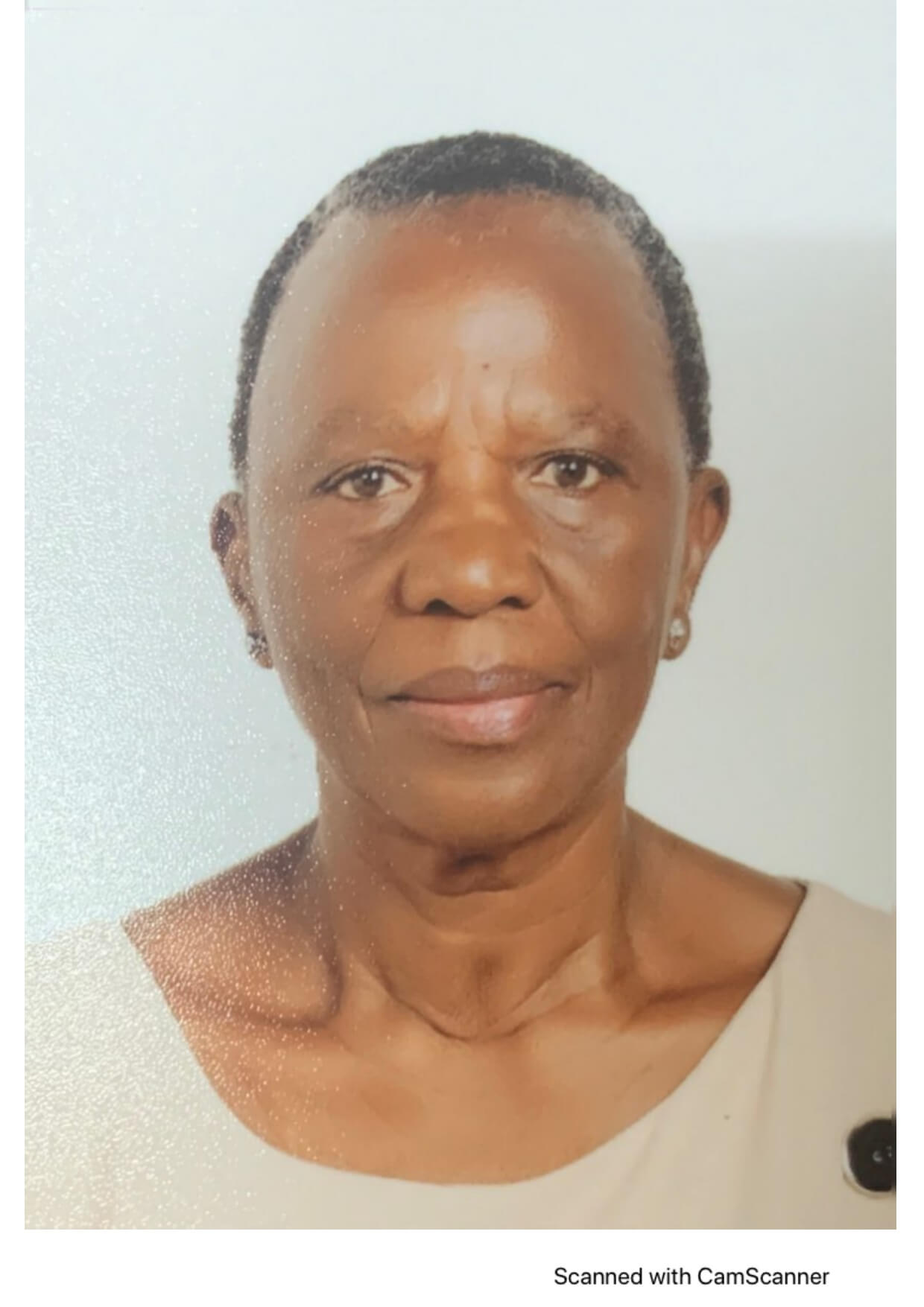 Mrs. Sanogo Kone (Director of the Department of Partnerships, Policies and Strategies (ASAPSU))